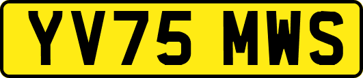 YV75MWS