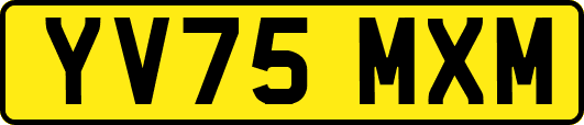 YV75MXM