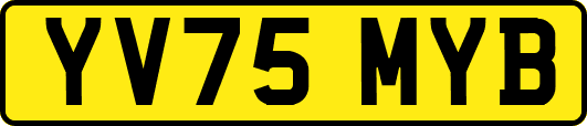 YV75MYB
