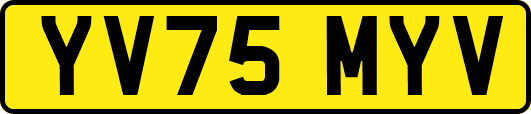YV75MYV