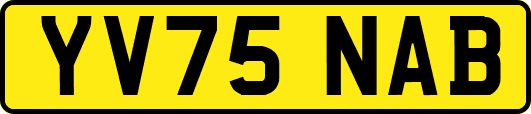 YV75NAB