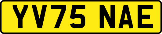YV75NAE