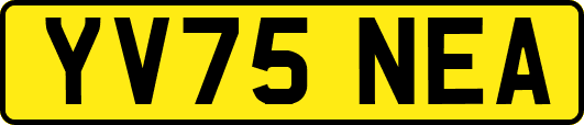 YV75NEA