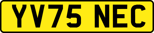 YV75NEC
