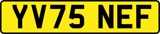 YV75NEF