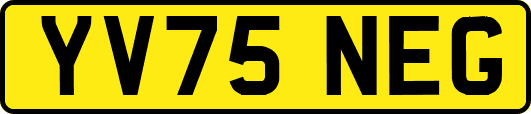YV75NEG