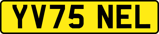 YV75NEL