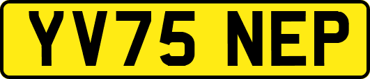 YV75NEP