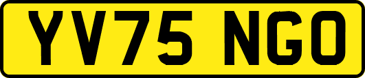 YV75NGO
