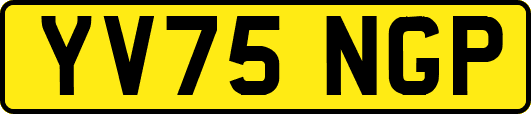 YV75NGP