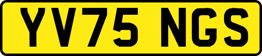 YV75NGS