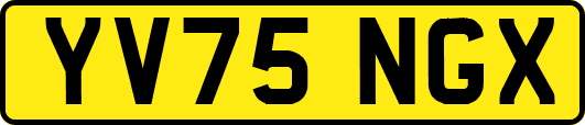 YV75NGX
