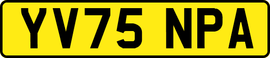 YV75NPA