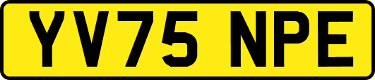 YV75NPE