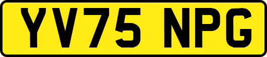YV75NPG