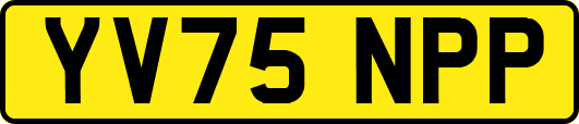 YV75NPP