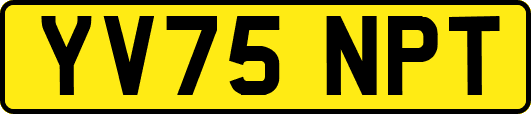 YV75NPT