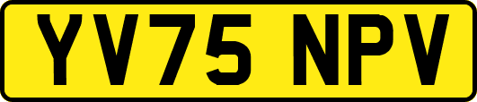 YV75NPV