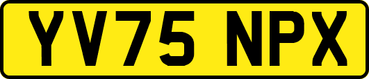 YV75NPX