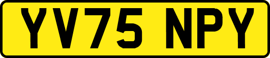 YV75NPY
