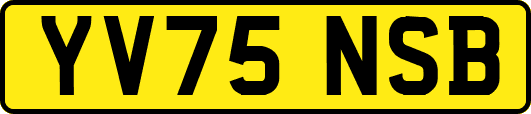 YV75NSB