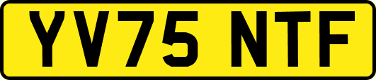 YV75NTF