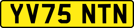 YV75NTN