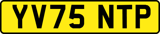 YV75NTP