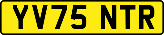 YV75NTR
