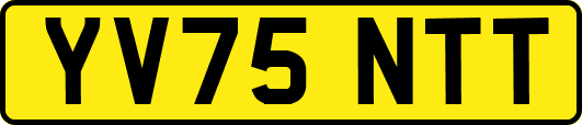 YV75NTT