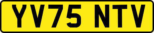 YV75NTV