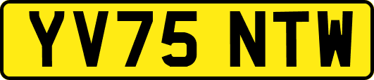 YV75NTW