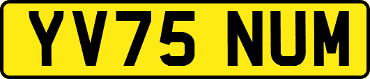 YV75NUM