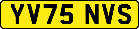 YV75NVS