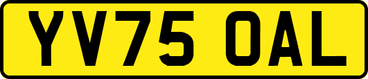 YV75OAL