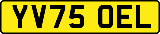YV75OEL