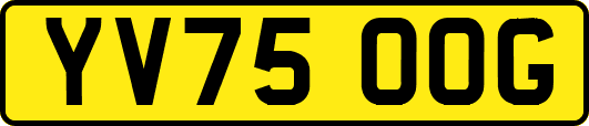 YV75OOG
