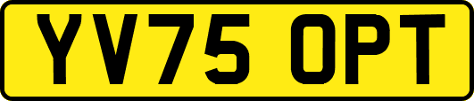 YV75OPT