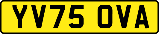 YV75OVA