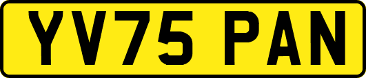 YV75PAN
