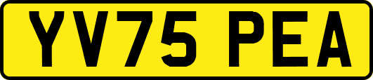 YV75PEA