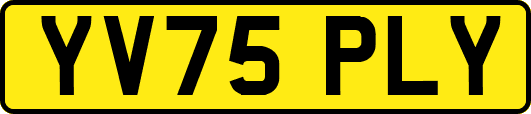 YV75PLY