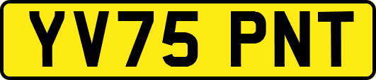 YV75PNT