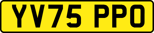 YV75PPO