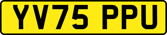 YV75PPU