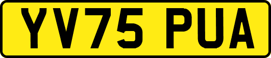 YV75PUA