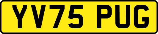 YV75PUG