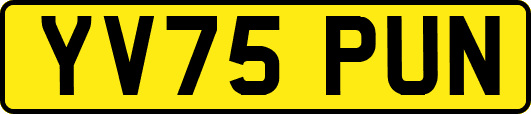 YV75PUN