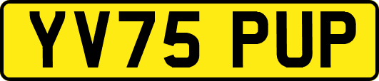 YV75PUP