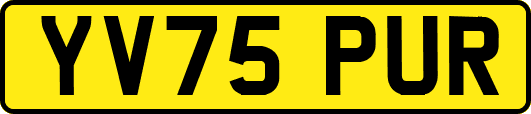 YV75PUR